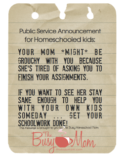 The Resistant Homeschooler…..