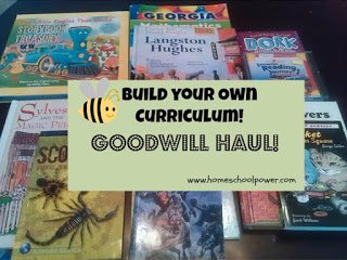 Building Your Own Curriculum on a Budget: Fall in love with the Goodwill!